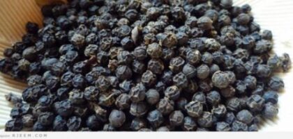 جلب الحبيب بالفلفل الاسود