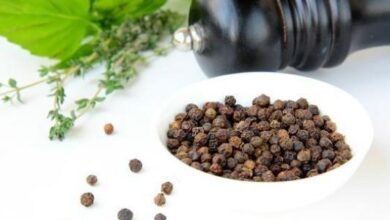 الفلفل الاسود لجلب الحبيب