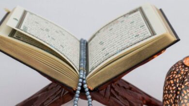 جلب الحبيب بسورة الضحى