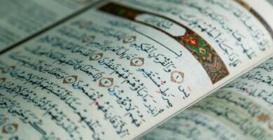 جلب الحبيب بسورة يس