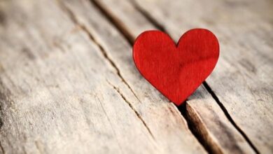 جلب حبيب سريع