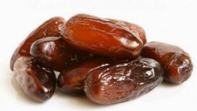 جلب الحبيب بالتمر