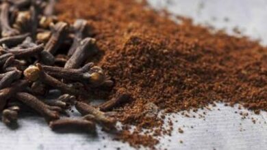 جلب الحبيب بالقرنفل