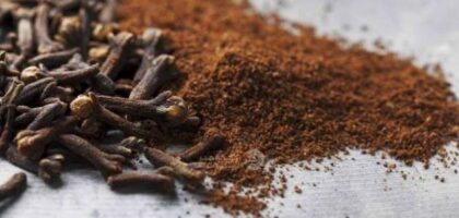 جلب الحبيب بالقرنفل