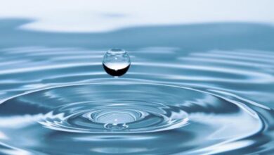 جلب الحبيب بالماء المرشوش