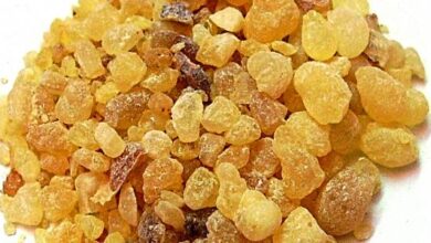 جلب الحبيب بلبان الذكر