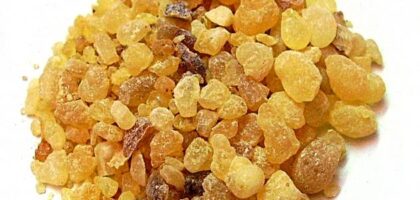 جلب الحبيب بلبان الذكر