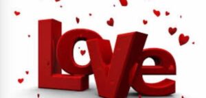 جلب الحبيب كالكلب