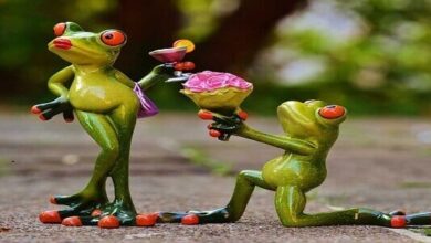 طريقة جلب الحبيب للزواج بالقران