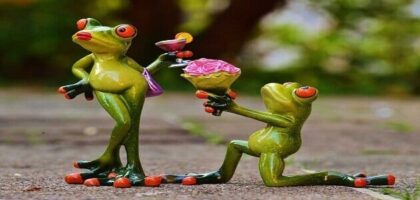 طريقة جلب الحبيب للزواج بالقران